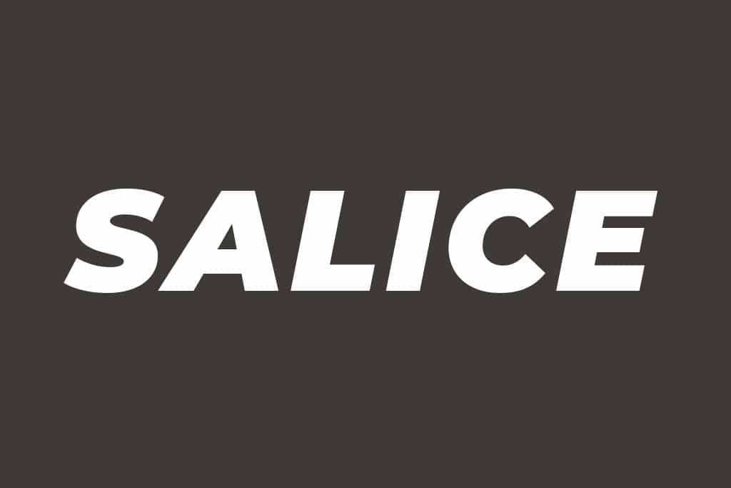 SALICELOGO