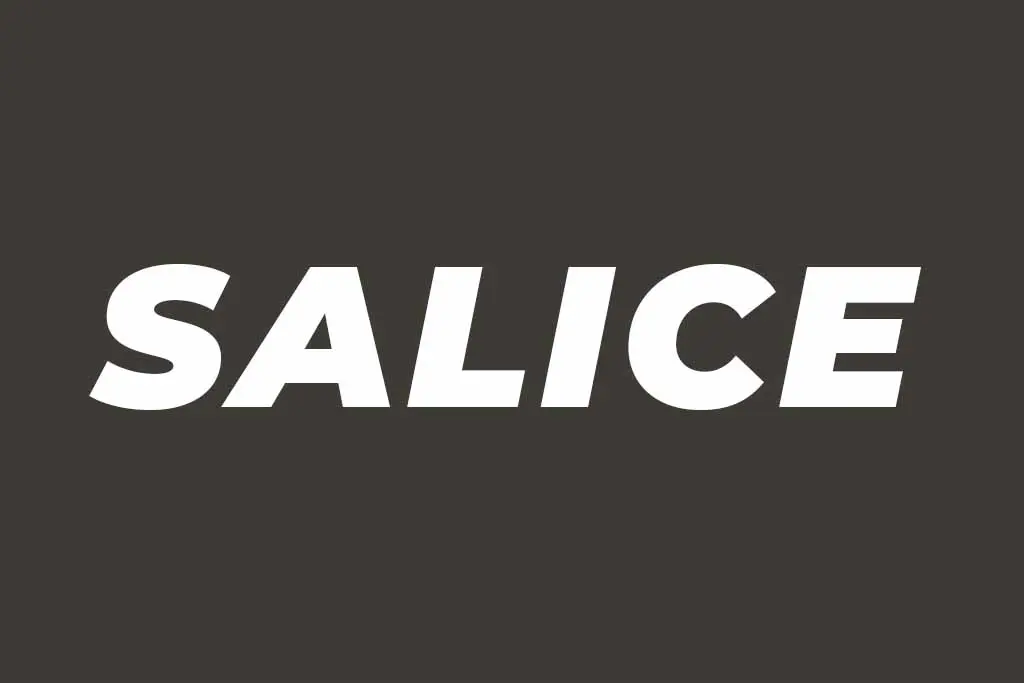 SALICELOGO